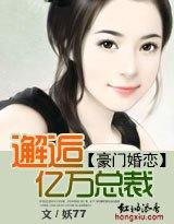 豪门婚恋：邂逅亿万总裁